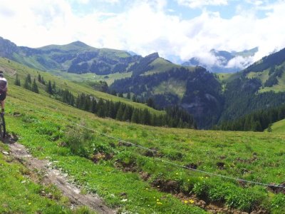 StP_MTB_2014_020